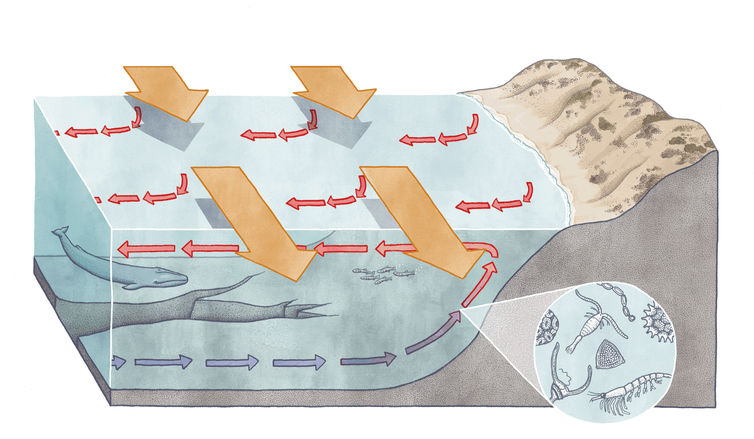 Animation — ALEX BOERSMA